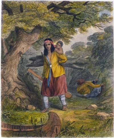 Indian Women Procuring Fuel, 1853 by Captain Seth Eastman