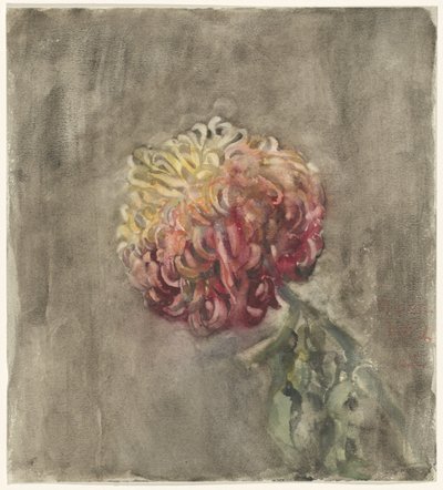 Red Chrysanthemum by Carel Adolph Lion Cachet