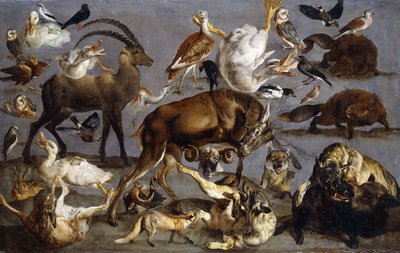 Studies of a Red Deer, an Ibex, a Wild Boar, Three Wolves, Two Beavers, Two Hares, a Fox, Four Domestic Ducks, Two Great Bustards, Three Barn Owls, a Turtle Dove, a Lapwing, a Nutcracker, a Waxwing, a Goldeneye, a Black Woodpecker, a Clough, a Great Grey S by Carl Borromaus Andreas Ruthart