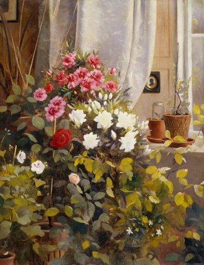 Azaleas, Geraniums, Roses and Other Potted Plants by a Window by Carl Christian Carlsen