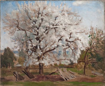 Apple Tree in Blossom by Carl Fredrik Hill