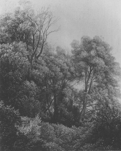 Pillnitz on the Elbe Island by Carl Gustav Carus