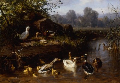 Ducks and Ducklings in a Stream by Carl Jutz