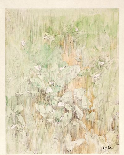 Kallor by Carl Larsson