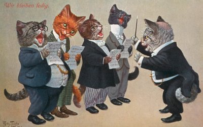 Humorous cat postcard by Carl Robert Arthur Thiele