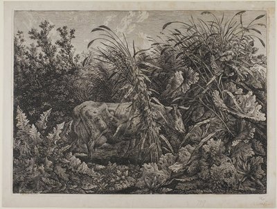 Cow in a Stream by Carl Wilhelm Kolbe the elder