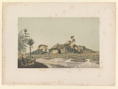 View of the Gamping Mountain (Gunong Gamping) (Atlas to the Work Java) (Atlas of Plates Containing Eleven Picturesque Views, Belonging to the Work Java, Its Shape, Its Plant Cover and Internal Structure) by Carl Wilhelm Mieling (possibly)