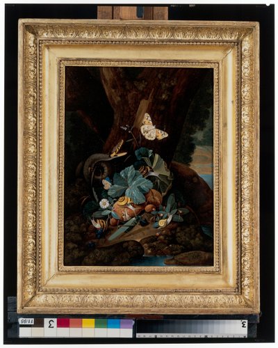Forest Floor Still Lifes with Snails, Snakes, Lizards and Butterflies by Carl Wilhelm de Hamilton