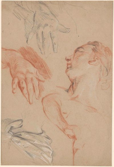 Study Sheet by Carle van Loo