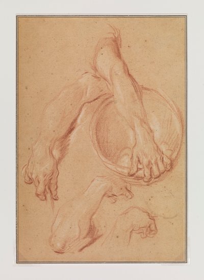 Studies of an Arm by Carle van Loo