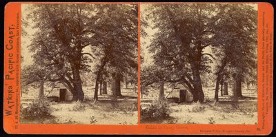 Cabin in Camp Grove, Yosemite Valley, Mariposa County, California by Carleton Watkins