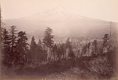 Mount Shasta by Carleton Watkins