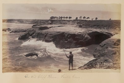 On the Cliff Drive, Santa Cruz by Carleton Watkins