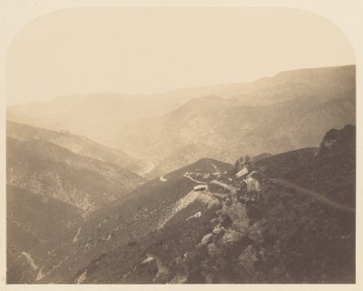 Pine Tree Mine by Carleton Watkins
