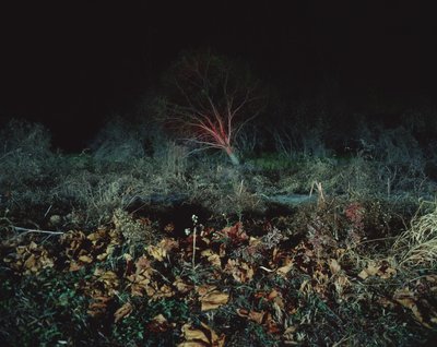 Painting in the Dark, 2011 by Carli Choi