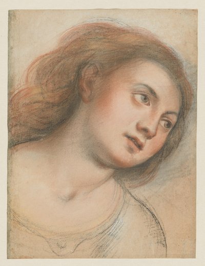 Study for Female Head (verso); Head of Christ (recto) by Carlo Francesco Nuvolone