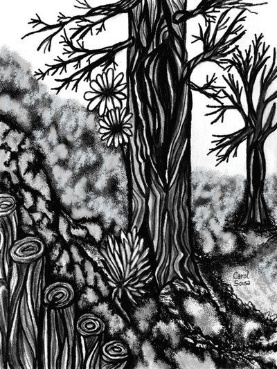 Digital Charcoal Drawing 1 by Carol Sousa Cuello