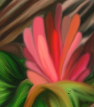 Abstract Flower by Carol Sousa Cuello