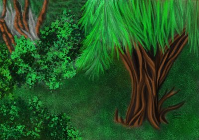 Corner in the Garden by Carol Sousa Cuello