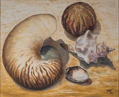 Seashells by Carolyn Hubbard Ford