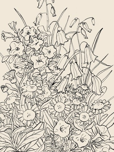 Wild Garden Flowers by Catalina Somolinos