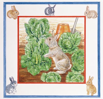 A Rabbit in the Cabbage Patch by Catherine Bradbury