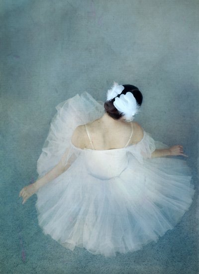 Elegant Ballerina Swan by Catherine Wang