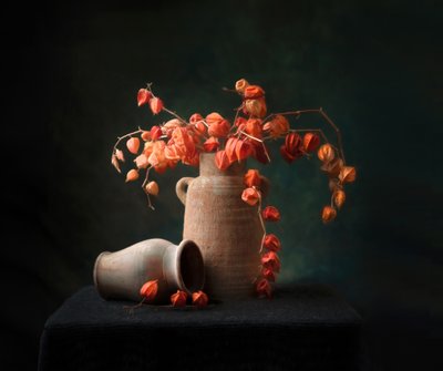 Rustic Chinese Lanterns Still Life by Catherine Wang