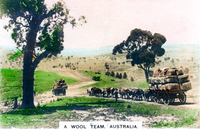 A Wool Team, Australia, c1920s by Cavenders Ltd