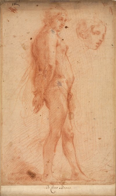 Study of a Standing Male Nude, with a Study of Head in Three-Quarter Profile by Cecco Bravo