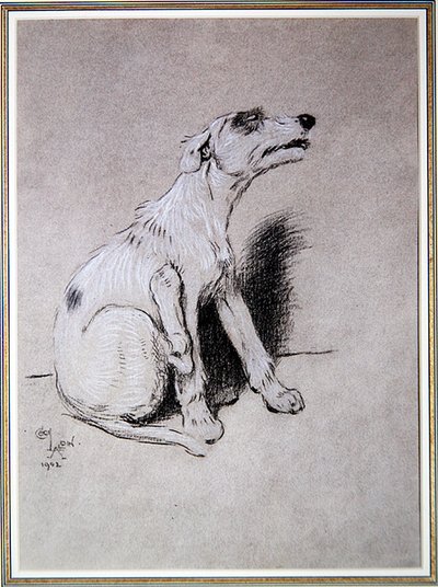 5:15 Awakened by a Bad Attack of Eczema, illustration from A Dog Day by Walter Emanuel by Cecil Charles Windsor Aldin