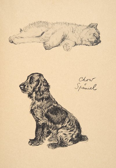 Chow and Spaniel, 1930 (Illustrations from his Sketch Book used for 