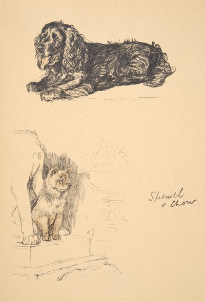Spaniel and Chow, 1930, Illustrations from his Sketch Book used for Just Among Friends by Cecil Charles Windsor Aldin