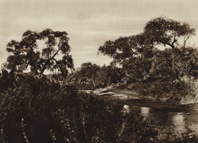 Mexico: Zacatecas, Near the Ruins of La Quemada by Cecile Seler Sachs