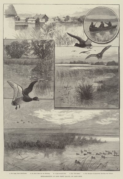 Duck-Shooting at Long Point Island, on Lake Erie (engraving) by Charles (after) Whymper