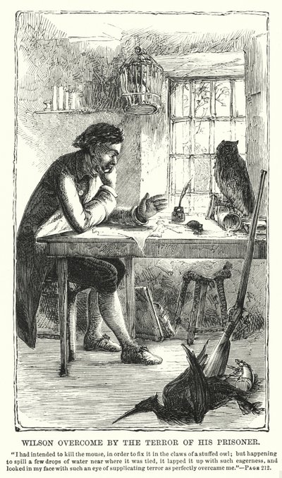 Wilson Overcome by the Terror of His Prisoner by Charles Altamont Doyle