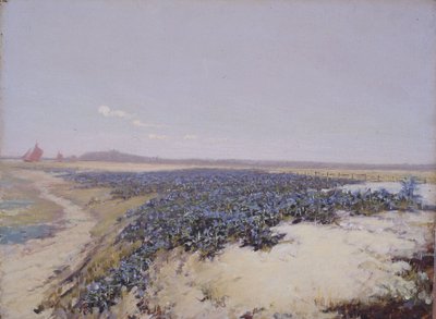 Flower-Covered Dunes by Charles Augustus Lasar