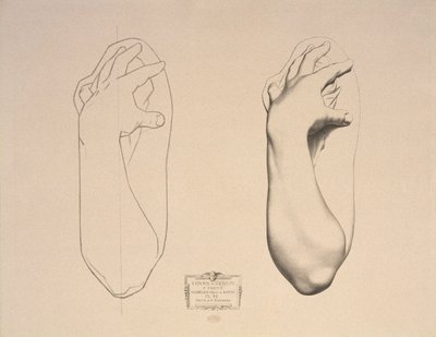 Bent Arm of a Woman, plate 22 from Cours de Dessin Volume I, Modeles dapres la bosse, c.1868 by Charles Bargue