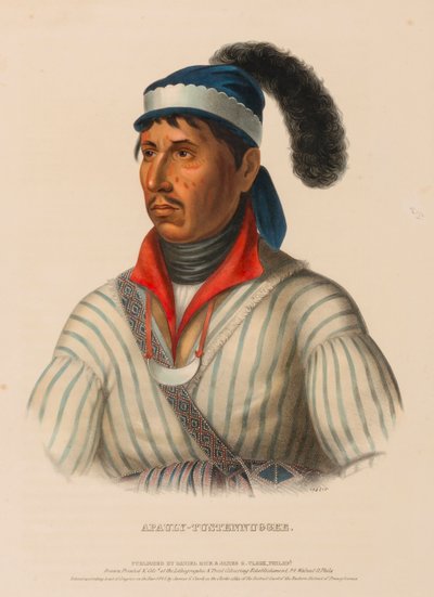 APAULY-TUSTENNUGGEE, from History of the Indian Tribes of North America by Charles Bird King