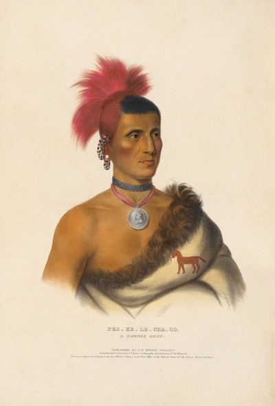 Pes-ke-le-cha-co - A Pawnee Chief by Charles Bird King