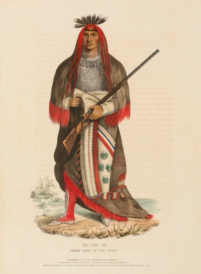 Wa-Na-Ta, Grand Chief of the Sioux, from History of the Indian Tribes of North America by Charles Bird King