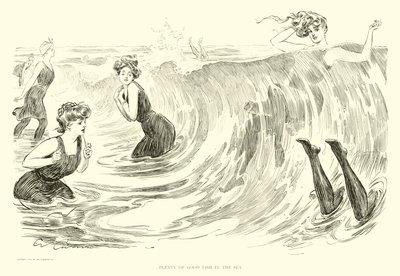 Illustration for The Social Ladder by Charles Dana Gibson