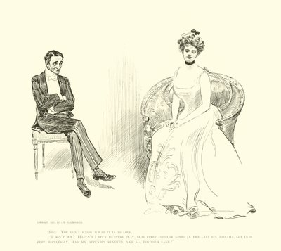 Illustration for The Social Ladder by Charles Dana Gibson