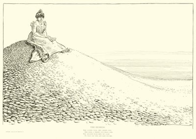 Illustration for The Social Ladder by Charles Dana Gibson