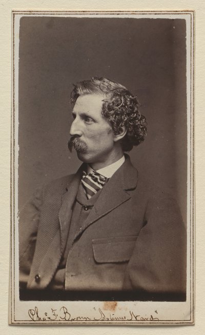 Charles Farrar Browne by Charles DeForest Fredricks