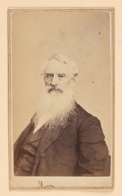 Samuel F. B. Morse by Charles DeForest Fredricks