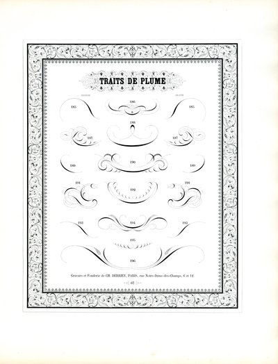 Calligraphic Pen Flourishes with Floral Border by Charles Derriey