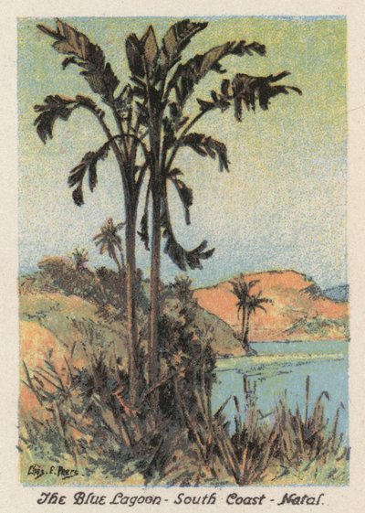 South Africa: The Blue Lagoon, South Coast, Natal by Charles Ernest Peers