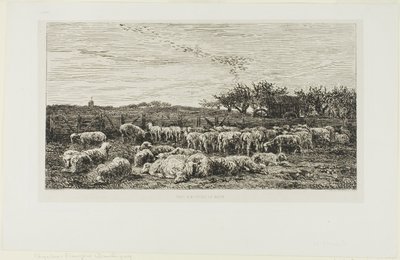 Meadow with Sheep by Charles Francois Daubigny