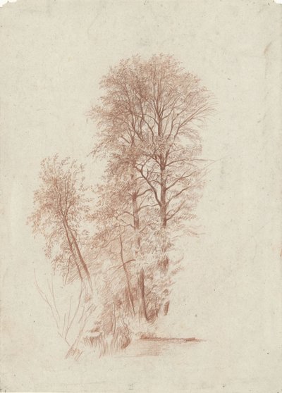 Study of Two Slender and Some Smaller Trees in Leaf by Charles Francois Daubigny